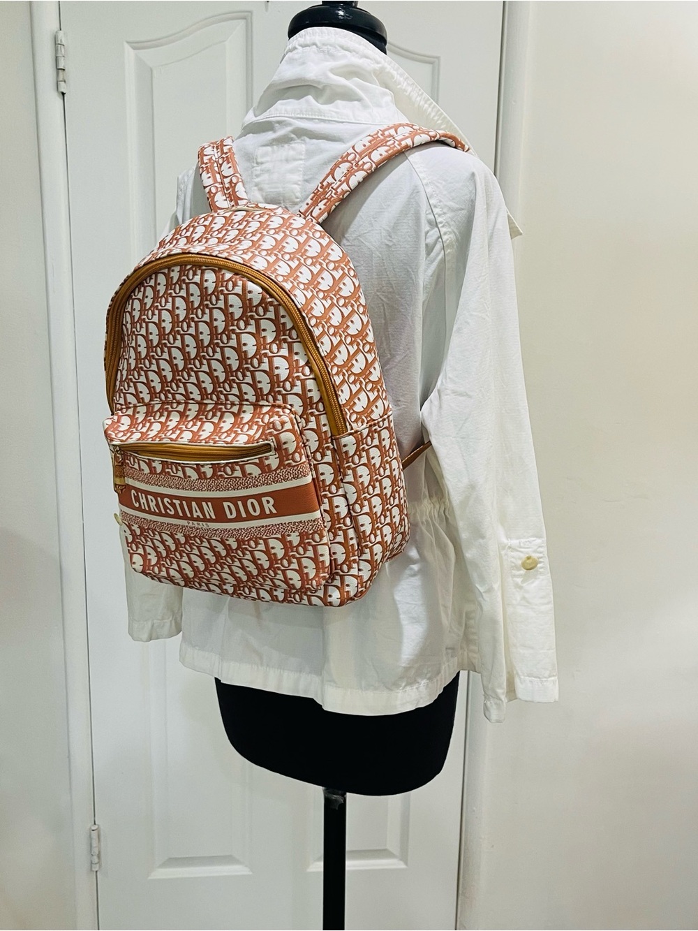 Fun Designer Look Backpack